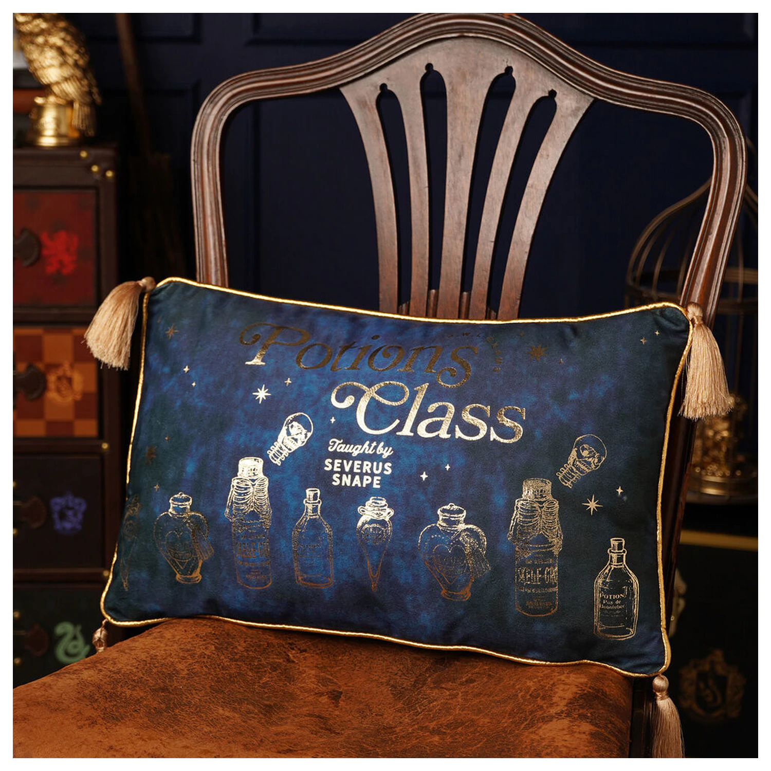 Harry Potter Potions Class velvet cushion product photo