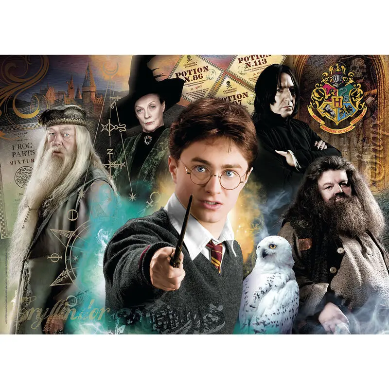 Harry Potter Jigsaw Puzzle Harry at Hogwarts (500 pieces) termékfotó