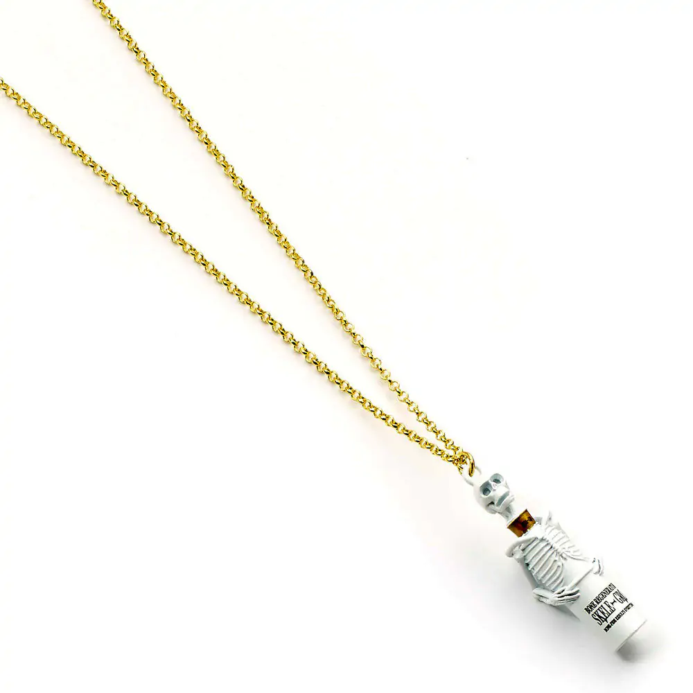 Harry Potter Skelegro necklace product photo