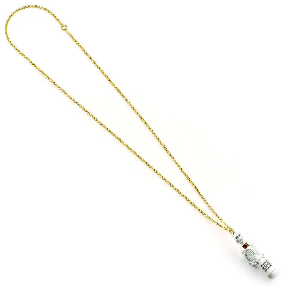 Harry Potter Skelegro necklace product photo