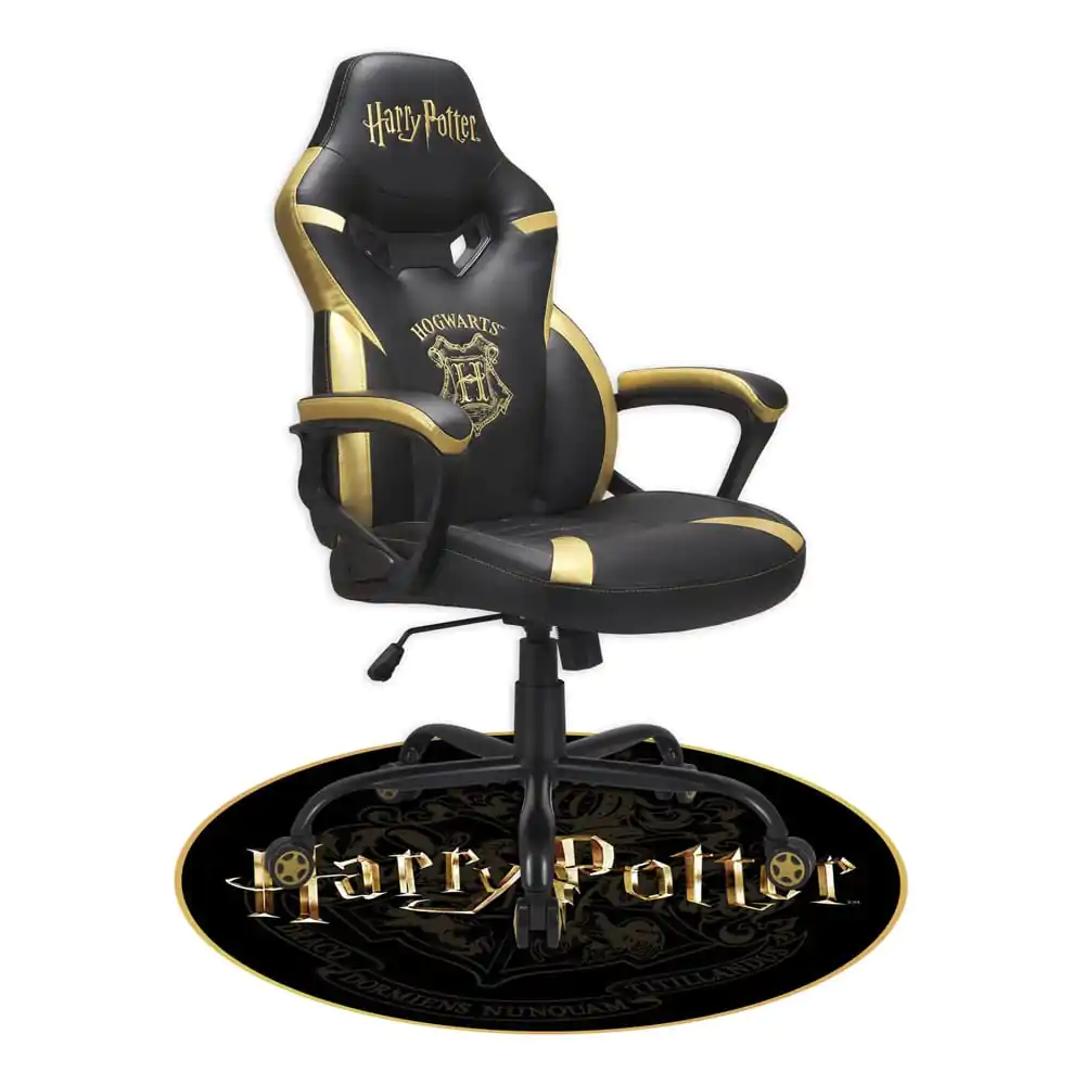 Harry Potter Floor Mat product photo