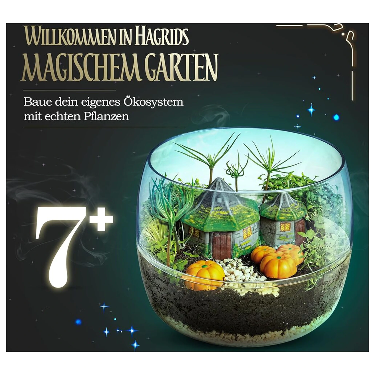 Harry Potter Terrarium product photo