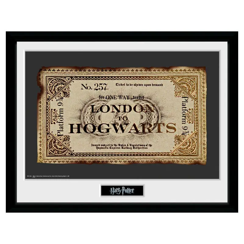 Harry Potter Ticket Framed Photo product photo