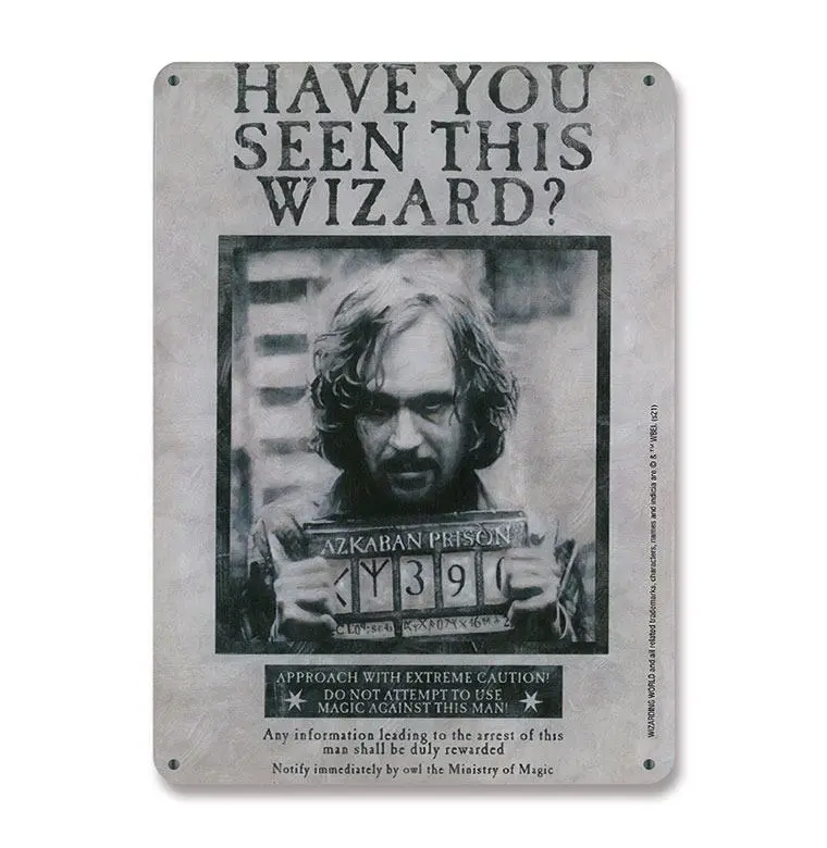 Harry Potter Tin Sign Have You Seen This Wizard 15 x 21 cm termékfotó