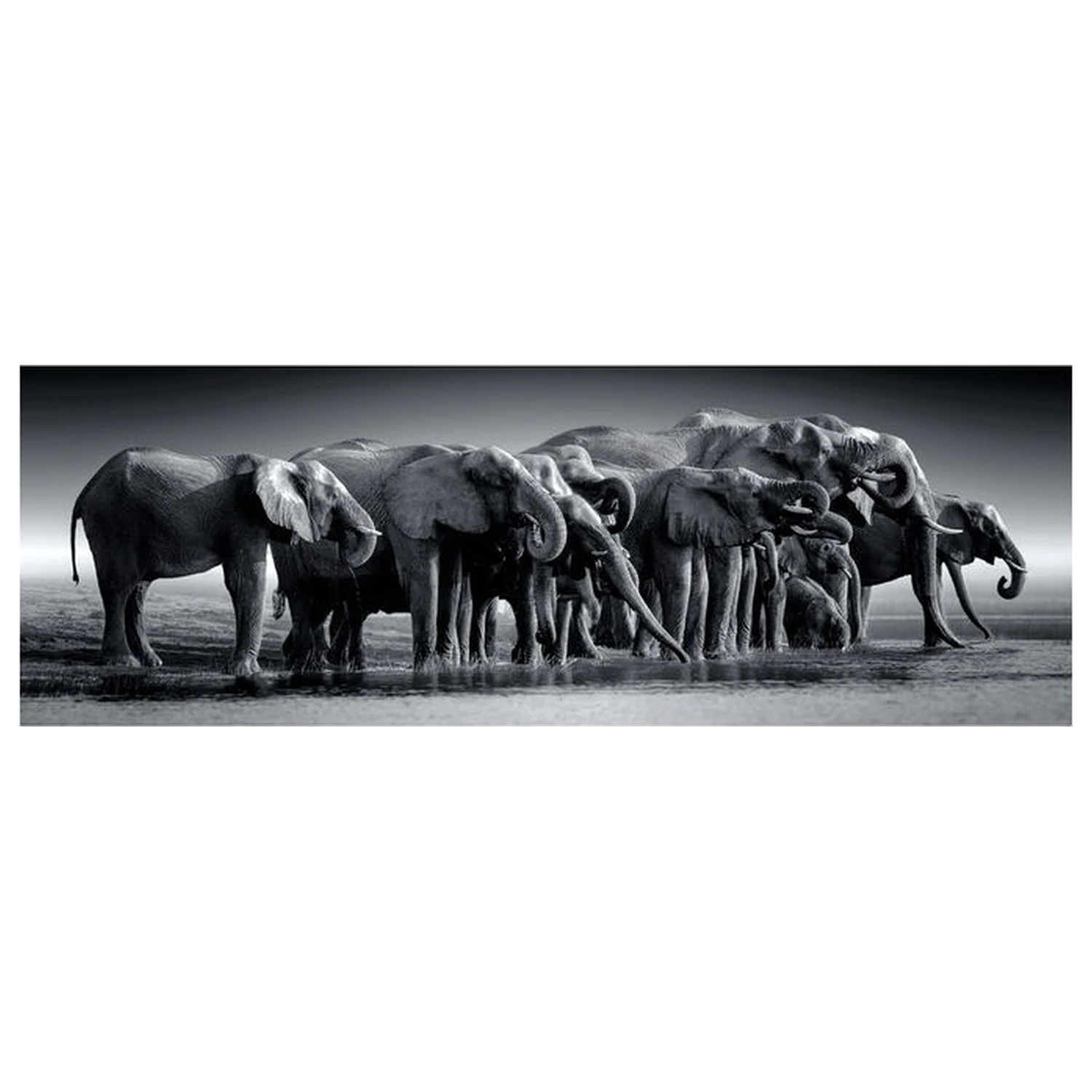 Herd of Giants Panorama puzzle 1000pcs product photo