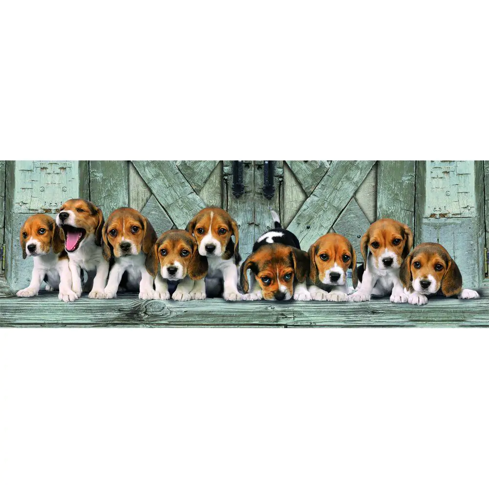 High Quality Beagles Panorama puzzle 1000pcs product photo