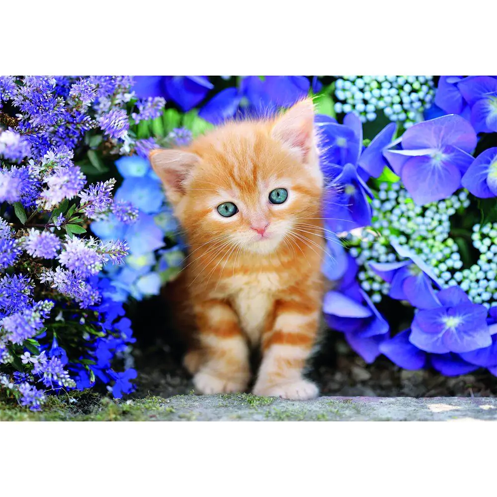 High Quality Ginger Cat puzzle 500pcs product photo