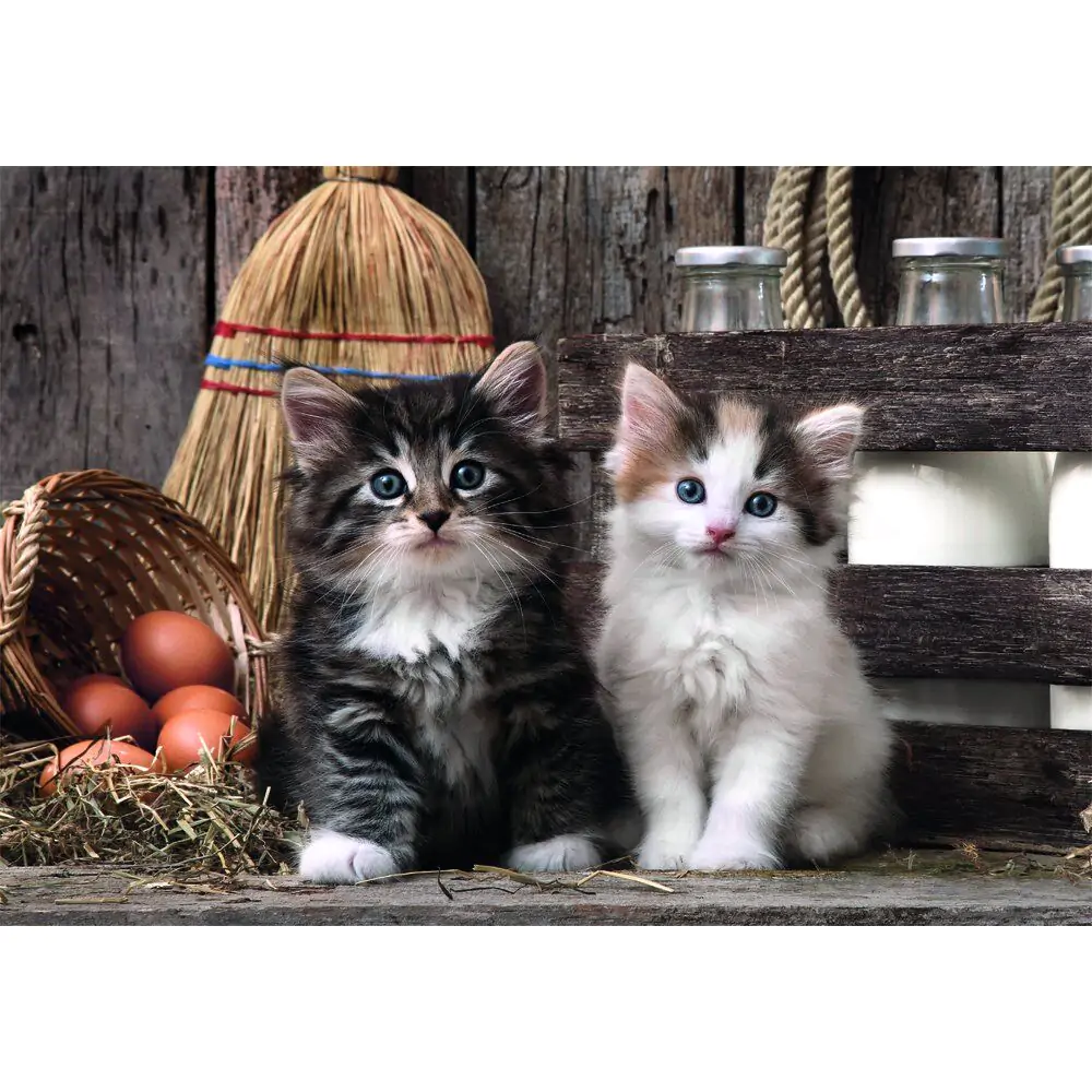 High Quality Lovely Kittens puzzle 1000pcs product photo