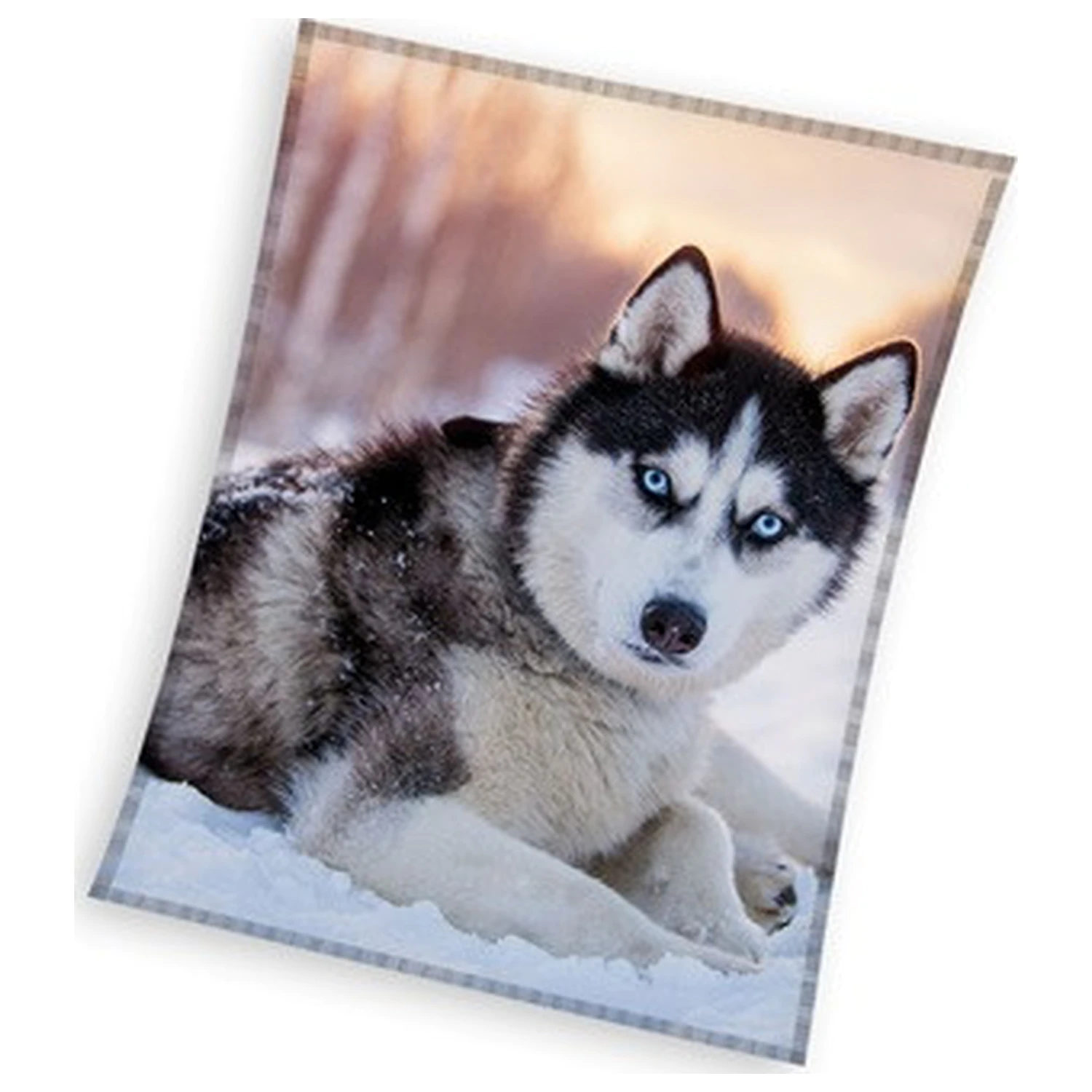 Husky fleece blanket product photo
