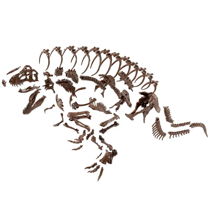 Imaginary Skeleton - Skeleton Tyrannosaurus Model Kit figure product photo