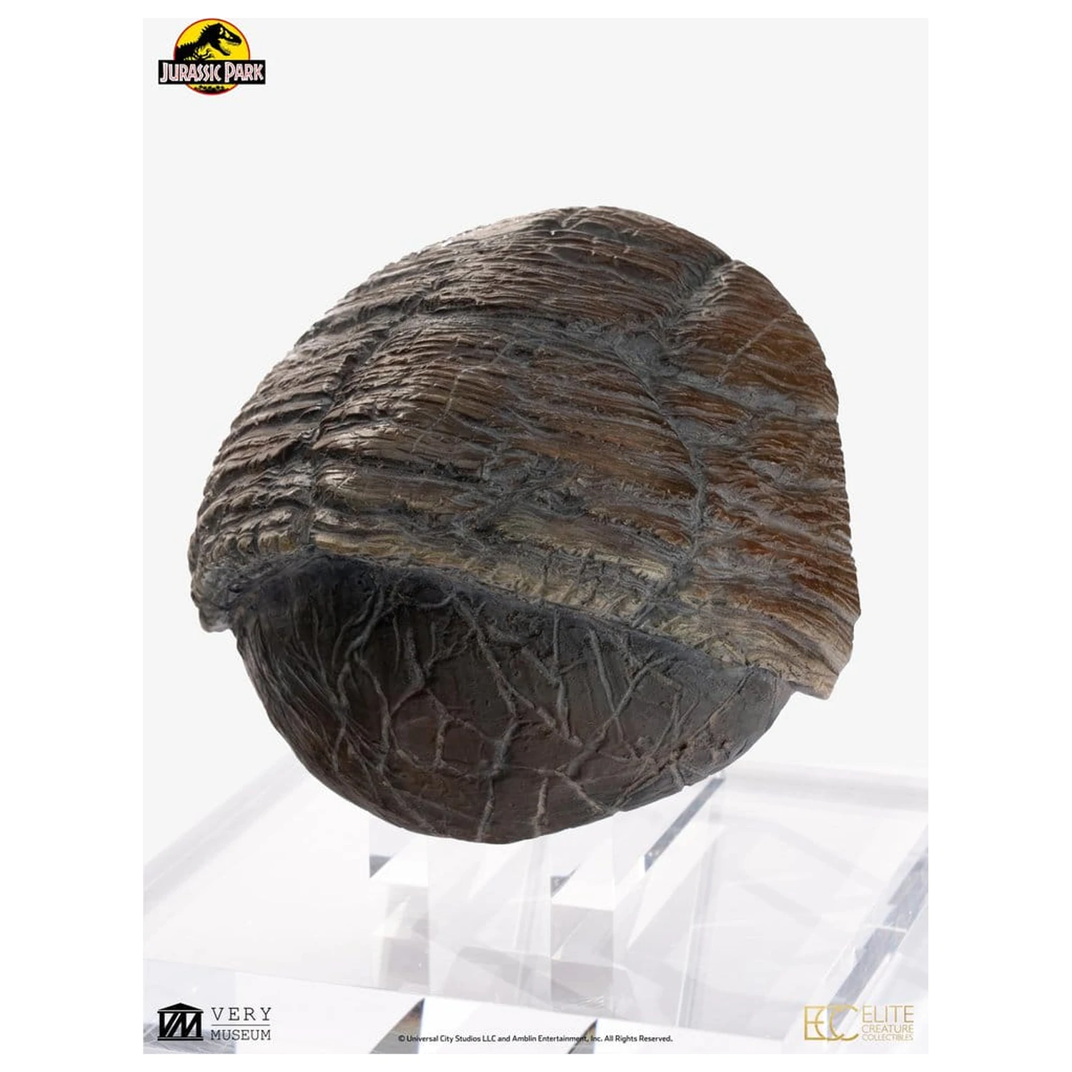 Jurassic Park 1/1 Replica Triceratops Toenail 16 cm product photo