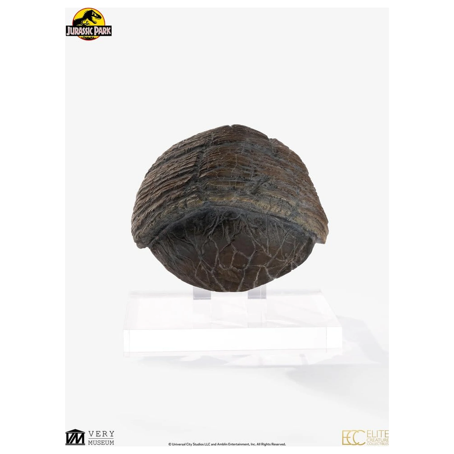 Jurassic Park 1/1 Replica Triceratops Toenail 16 cm product photo