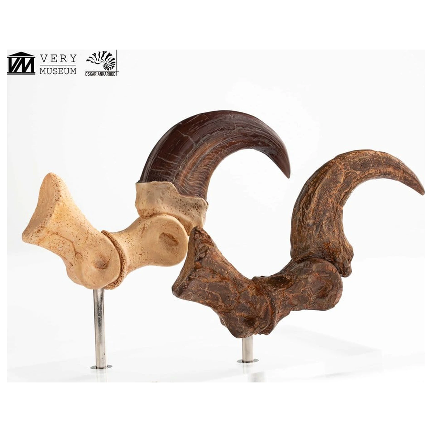 Jurassic Park ECC Elite Creature Line Statue Velociraptor Foot Claw and Fossil Claw Set 20 cm product photo