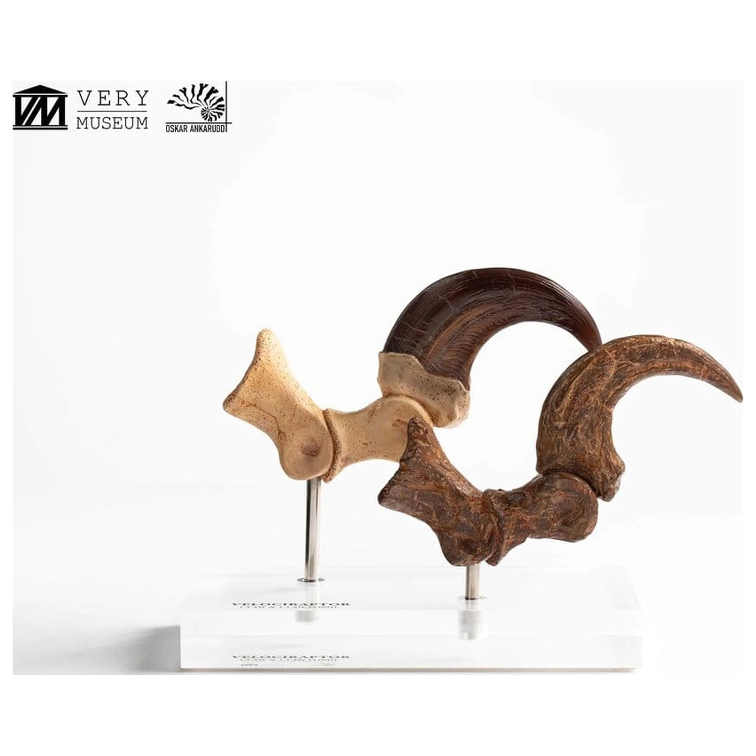 Jurassic Park ECC Elite Creature Line Statue Velociraptor Foot Claw and Fossil Claw Set 20 cm product photo