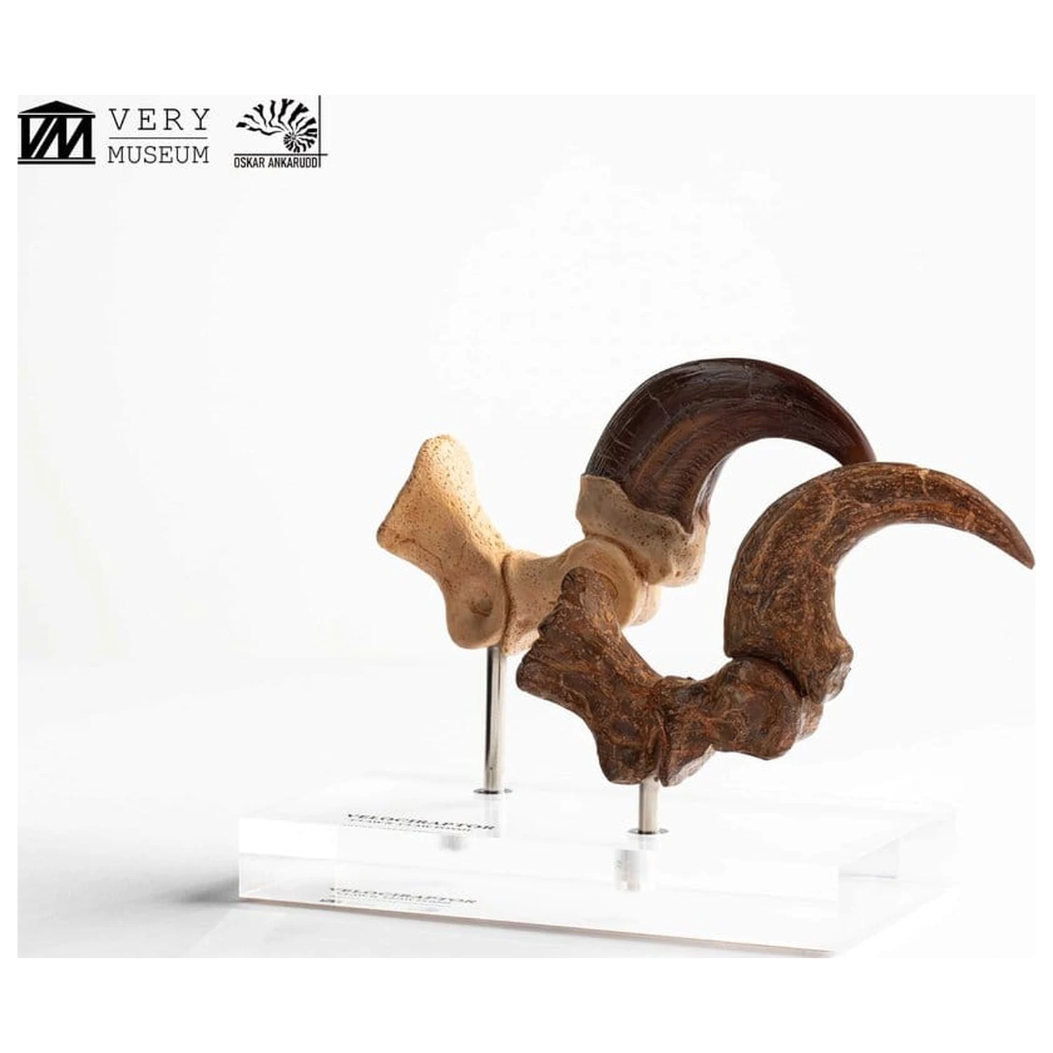 Jurassic Park ECC Elite Creature Line Statue Velociraptor Foot Claw and Fossil Claw Set 20 cm product photo