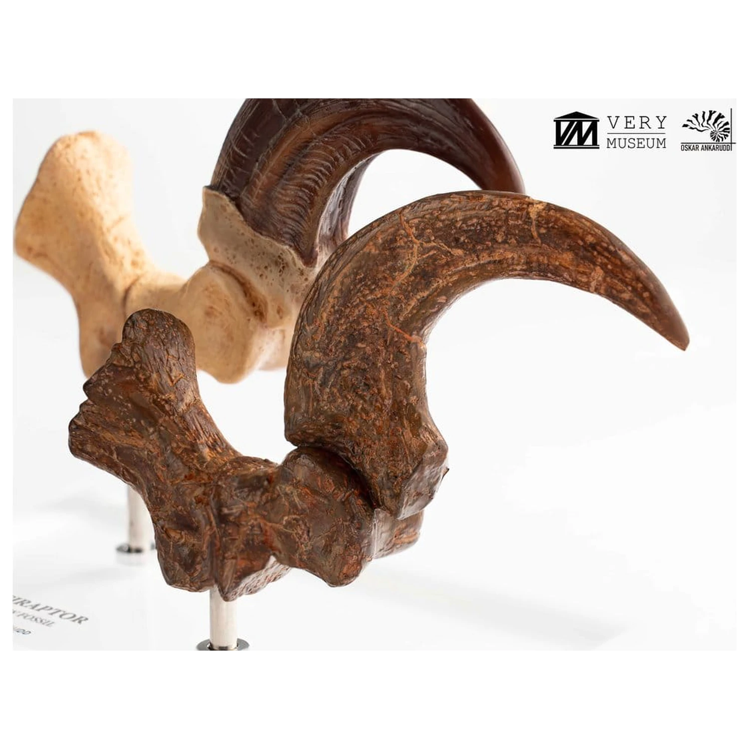 Jurassic Park ECC Elite Creature Line Statue Velociraptor Foot Claw and Fossil Claw Set 20 cm product photo