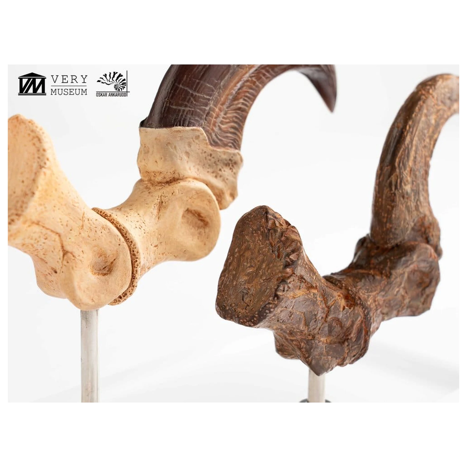 Jurassic Park ECC Elite Creature Line Statue Velociraptor Foot Claw and Fossil Claw Set 20 cm product photo