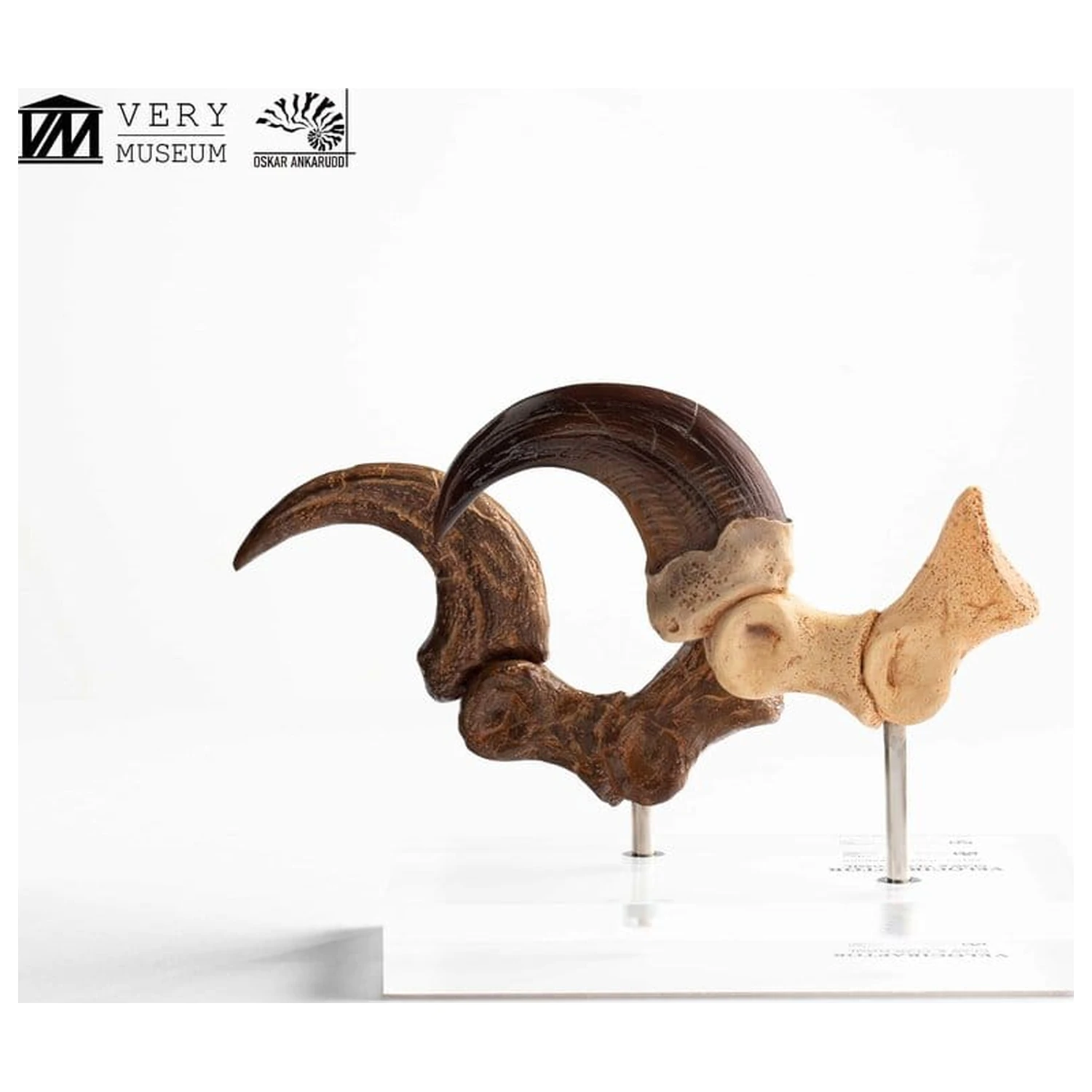 Jurassic Park ECC Elite Creature Line Statue Velociraptor Foot Claw and Fossil Claw Set 20 cm product photo