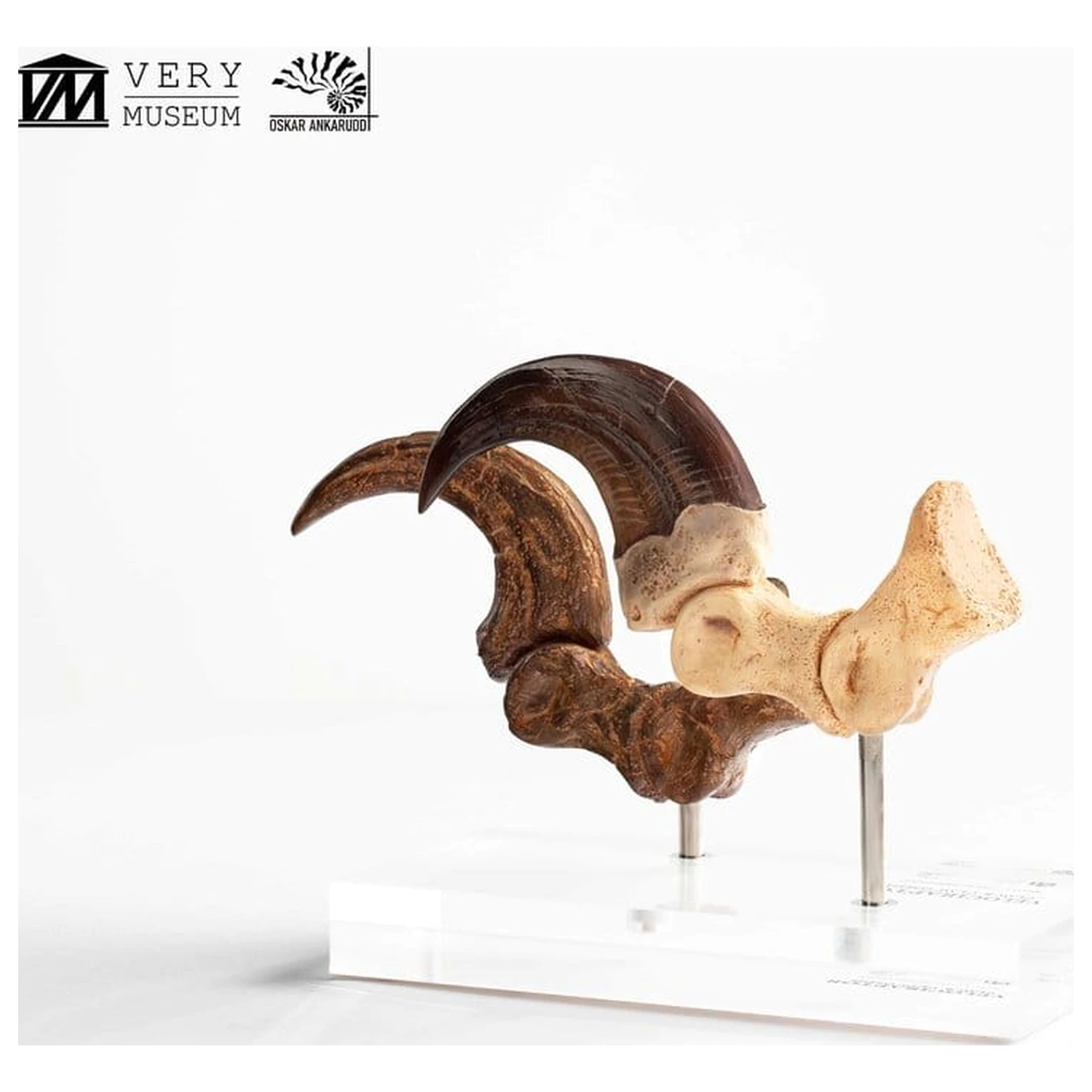 Jurassic Park ECC Elite Creature Line Statue Velociraptor Foot Claw and Fossil Claw Set 20 cm product photo