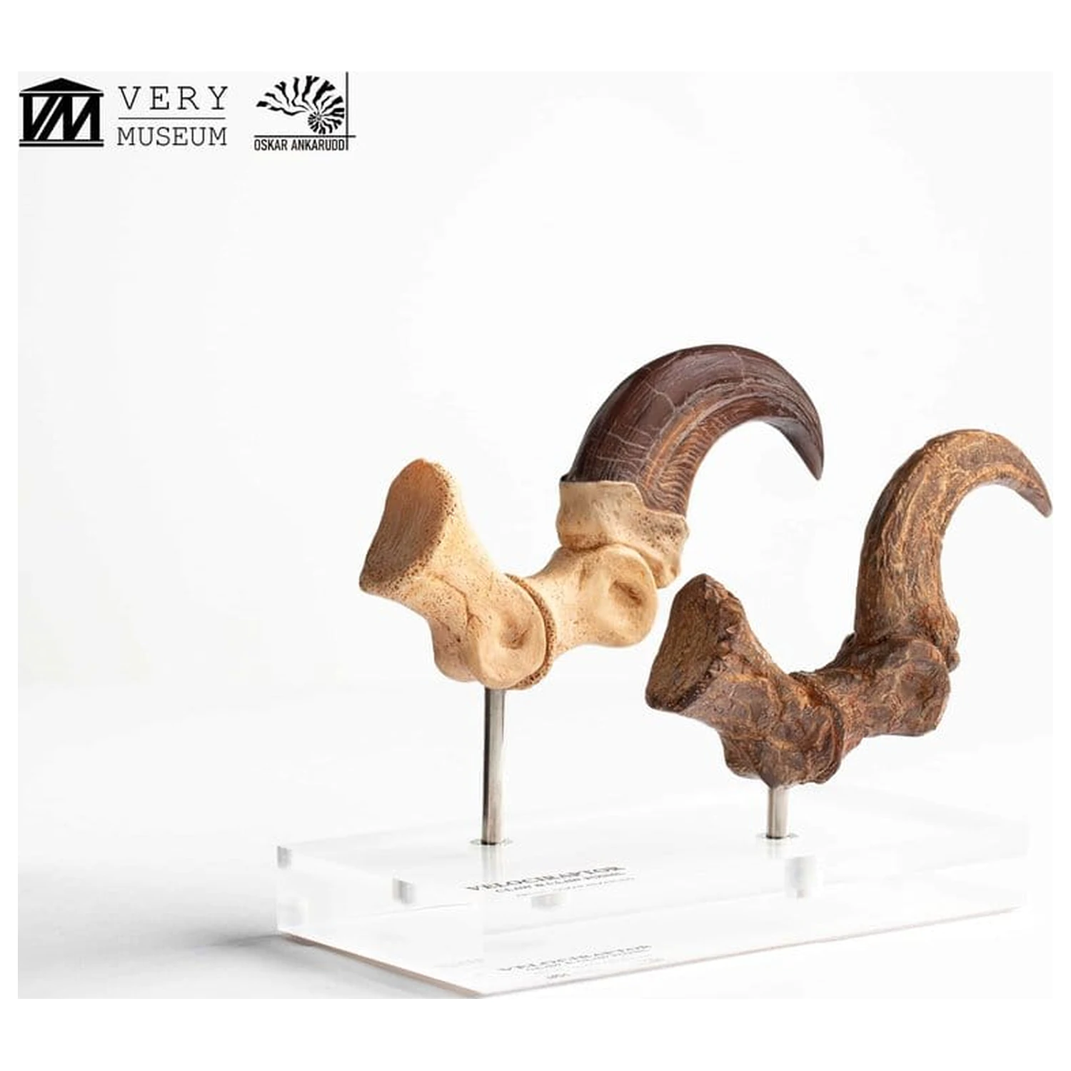 Jurassic Park ECC Elite Creature Line Statue Velociraptor Foot Claw and Fossil Claw Set 20 cm product photo