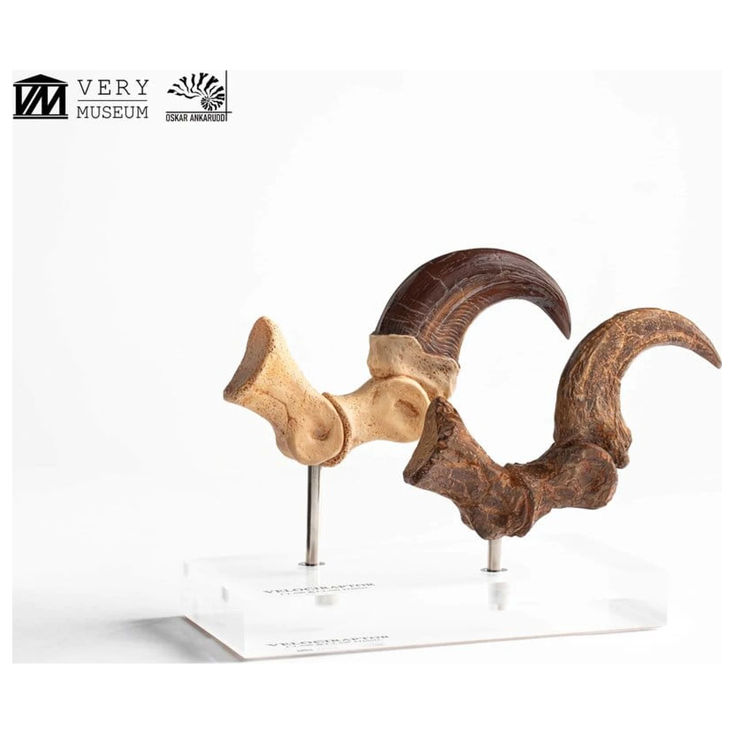 Jurassic Park ECC Elite Creature Line Statue Velociraptor Foot Claw and Fossil Claw Set 20 cm product photo