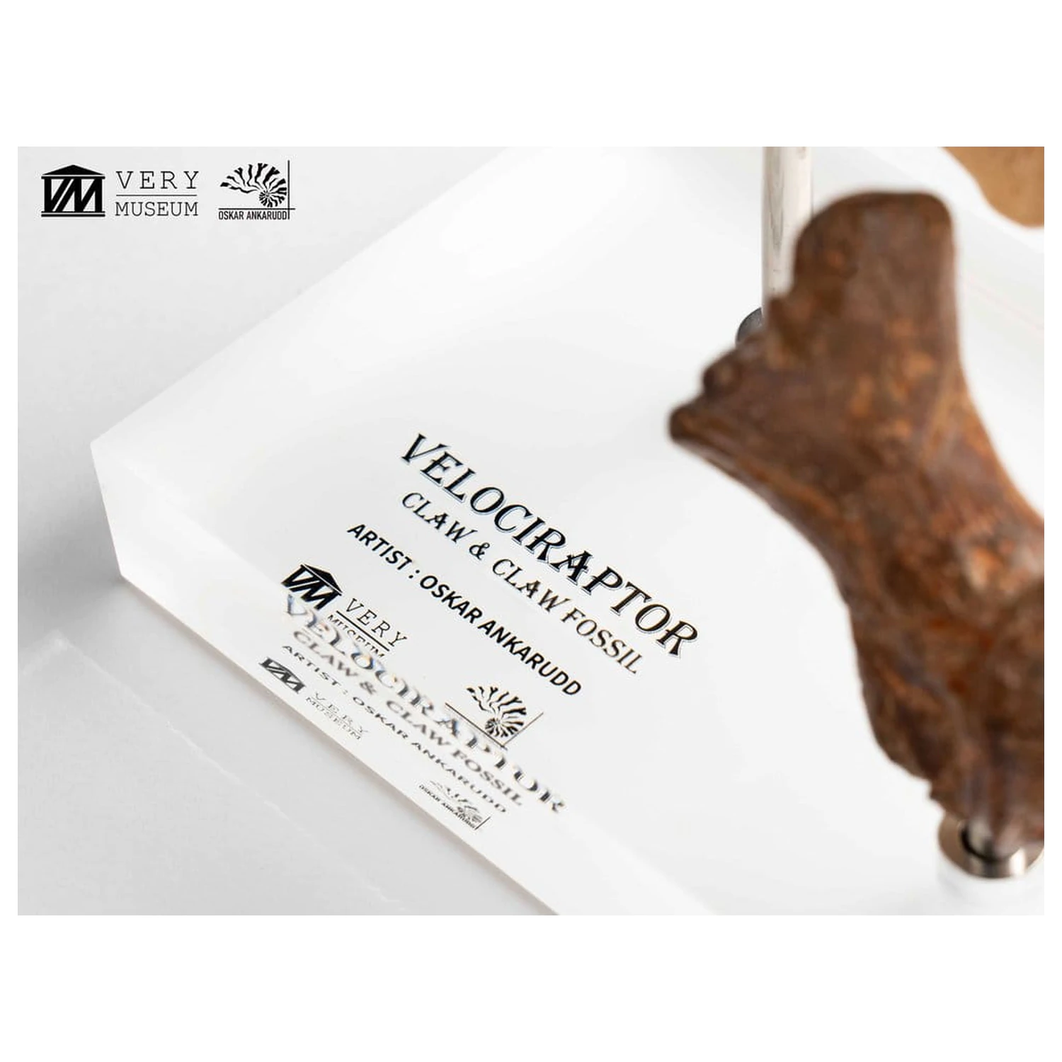 Jurassic Park ECC Elite Creature Line Statue Velociraptor Foot Claw and Fossil Claw Set 20 cm product photo