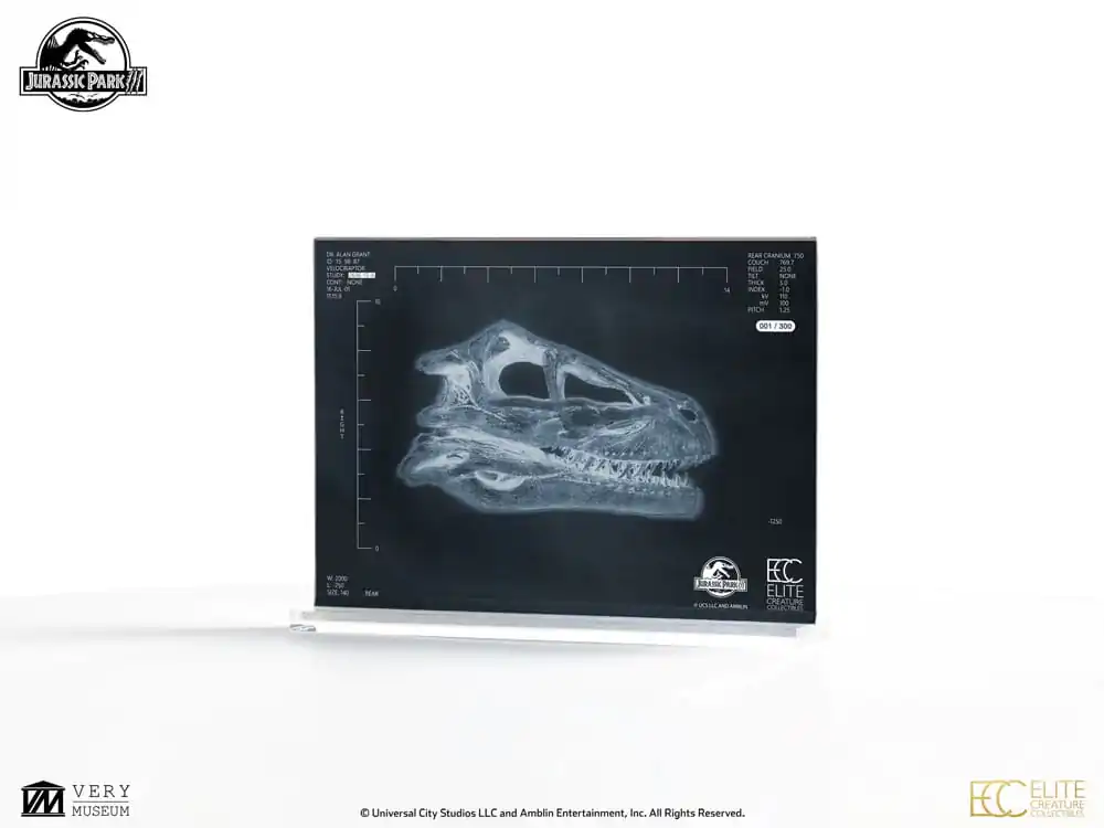 Jurassic Park III Prop Replica 1/1 Velociraptor Resonance Chamber 18 cm product photo