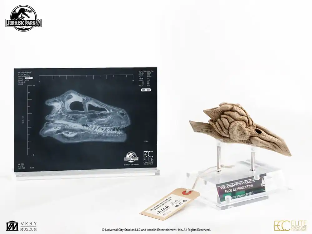 Jurassic Park III Prop Replica 1/1 Velociraptor Resonance Chamber 18 cm product photo