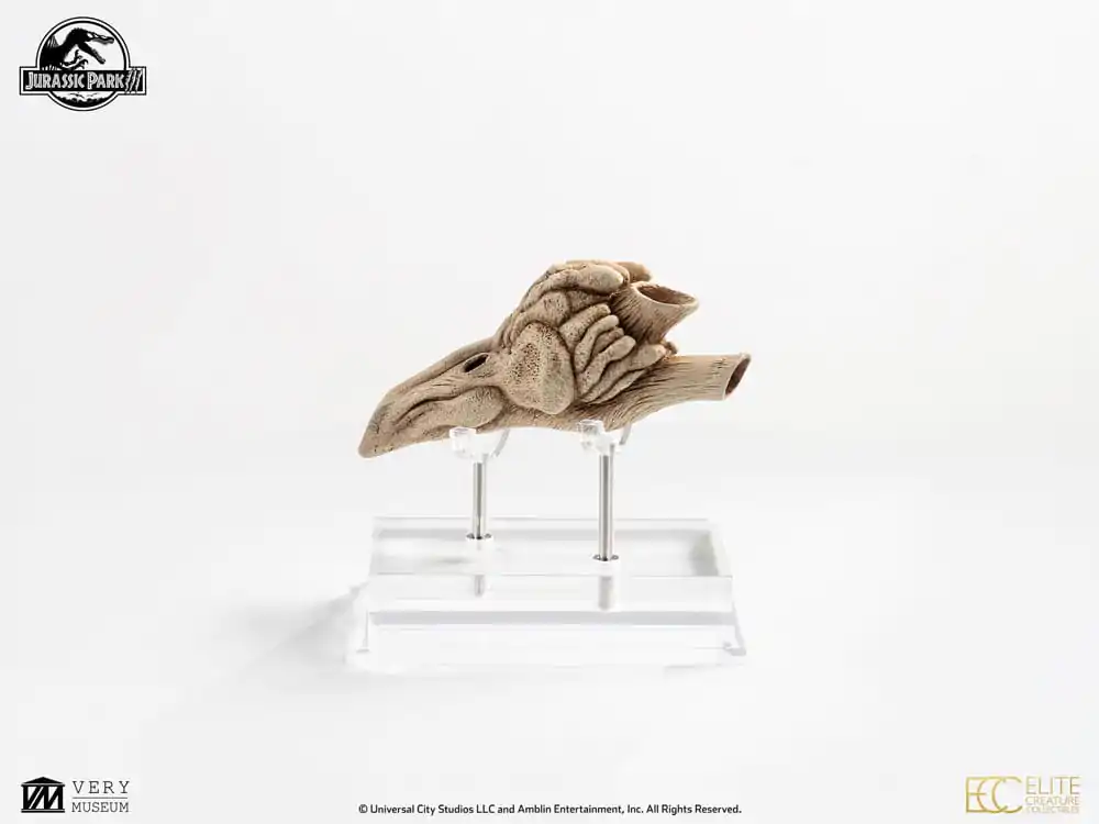 Jurassic Park III Prop Replica 1/1 Velociraptor Resonance Chamber 18 cm product photo