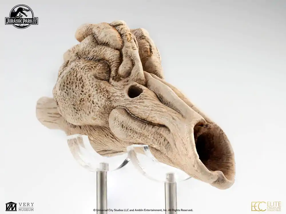 Jurassic Park III Prop Replica 1/1 Velociraptor Resonance Chamber 18 cm product photo