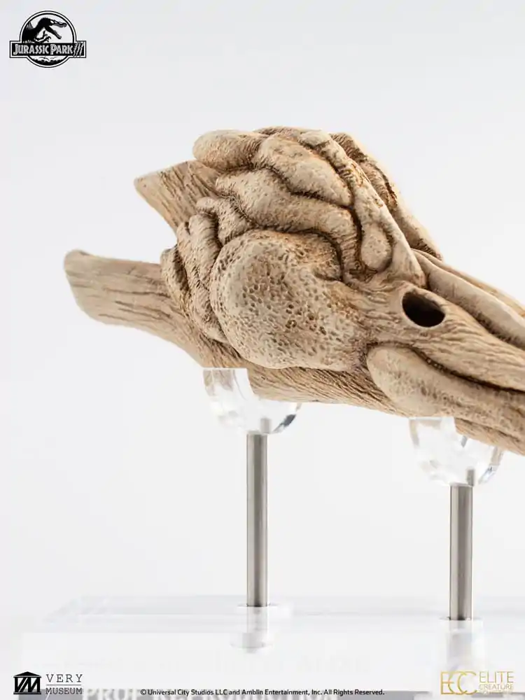 Jurassic Park III Prop Replica 1/1 Velociraptor Resonance Chamber 18 cm product photo