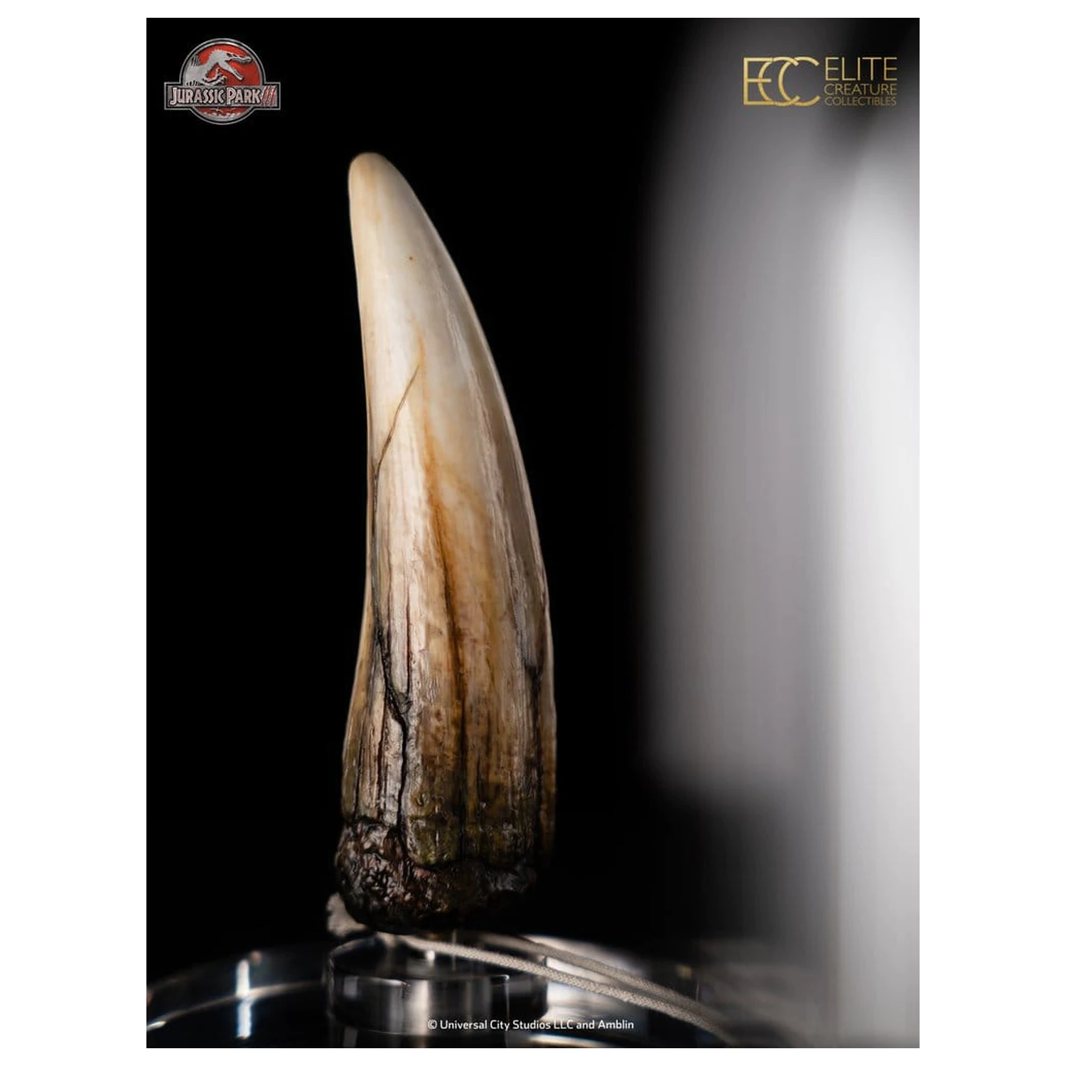 Jurassic Park III Prop Replica 1/1 Spinosaurus Tooth 14 cm product photo