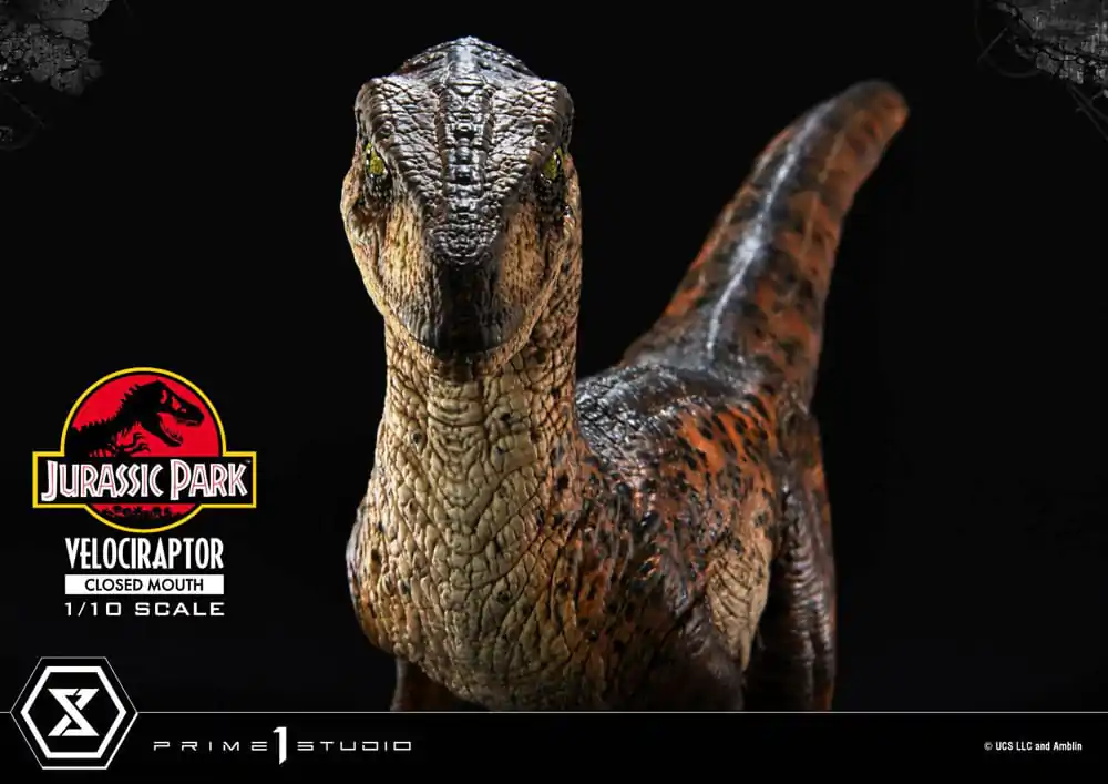 Jurassic Park Prime Collectibles Statue 1/10 Velociraptor Closed Mouth 19 cm termékfotó