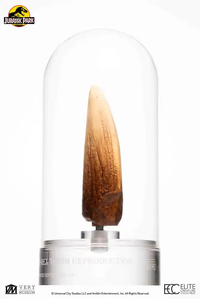 Jurassic Park Statue T-Rex Tooth 27 cm product photo