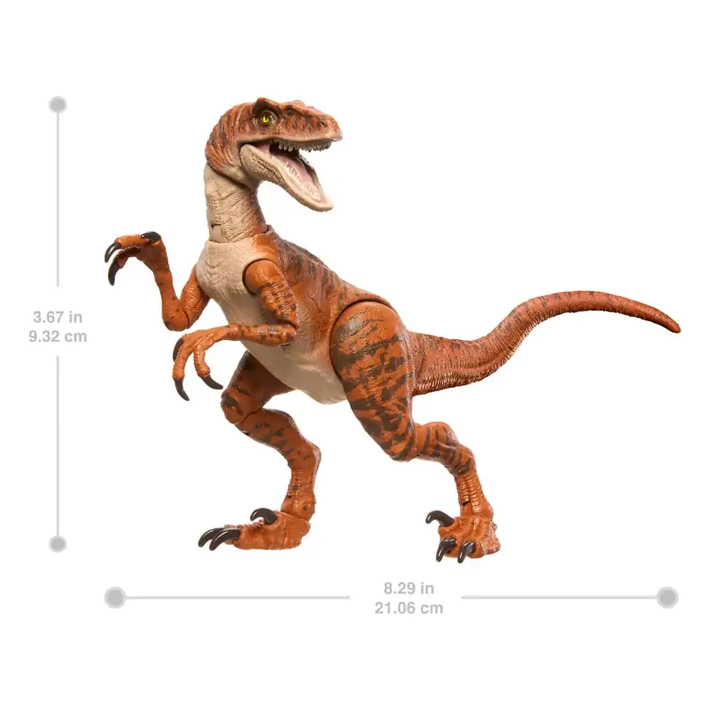 Jurassic World Hammond Collection Action Figure Velociraptor product photo
