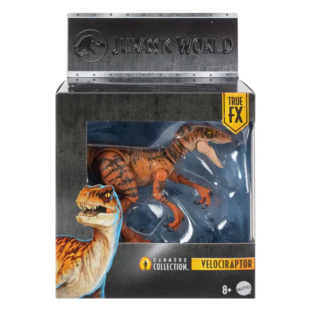 Jurassic World Hammond Collection Action Figure Velociraptor product photo