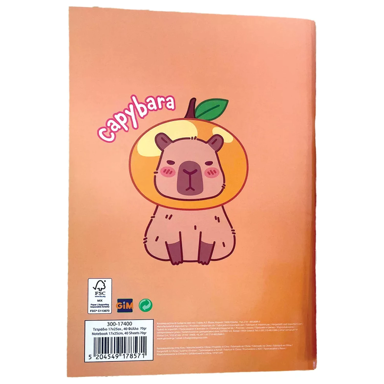 Capybara Chill B/5 Lined Notebook 40 Pages product photo