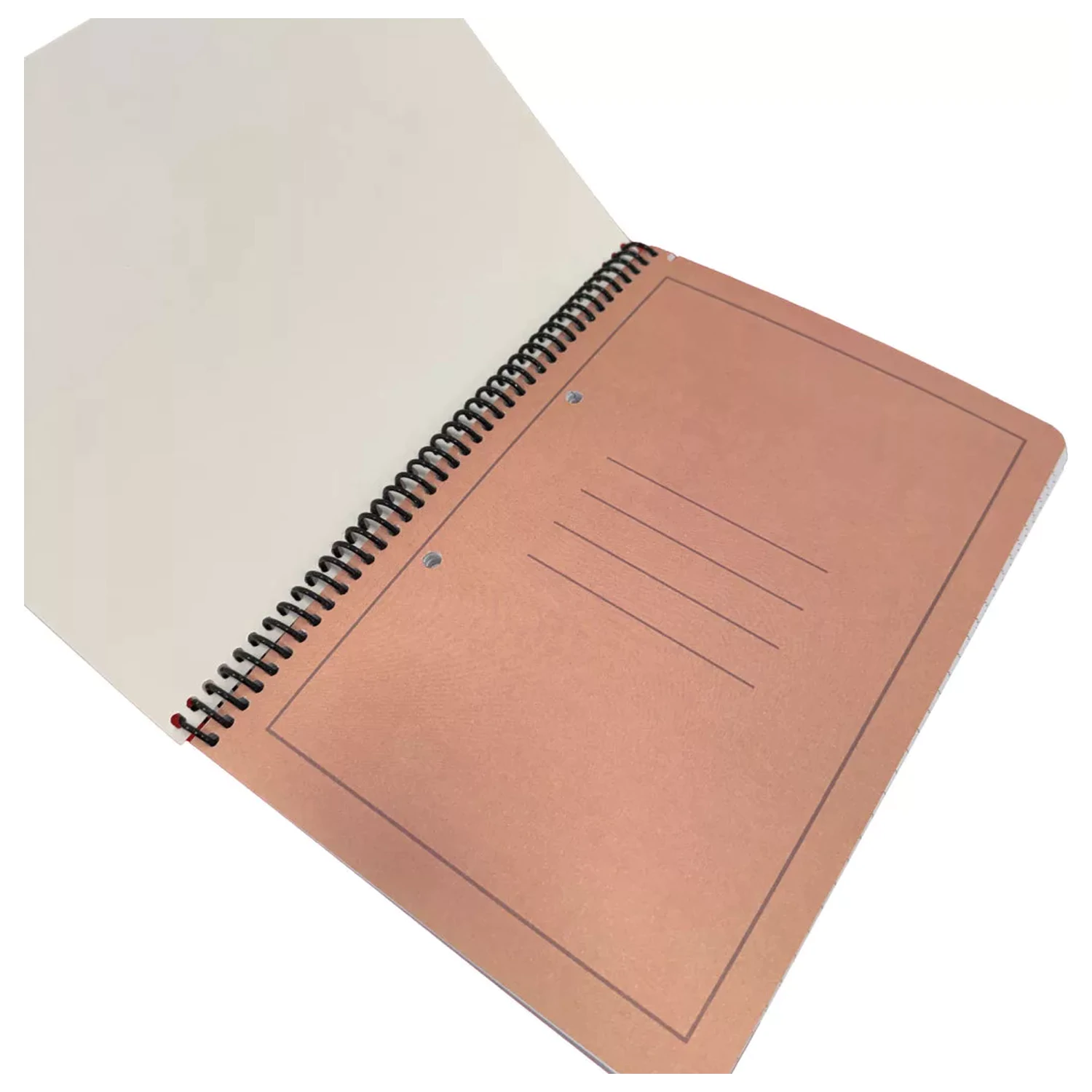 Capybara Spa B/5 Lined Spiral Notebook, 70 Sheets product photo