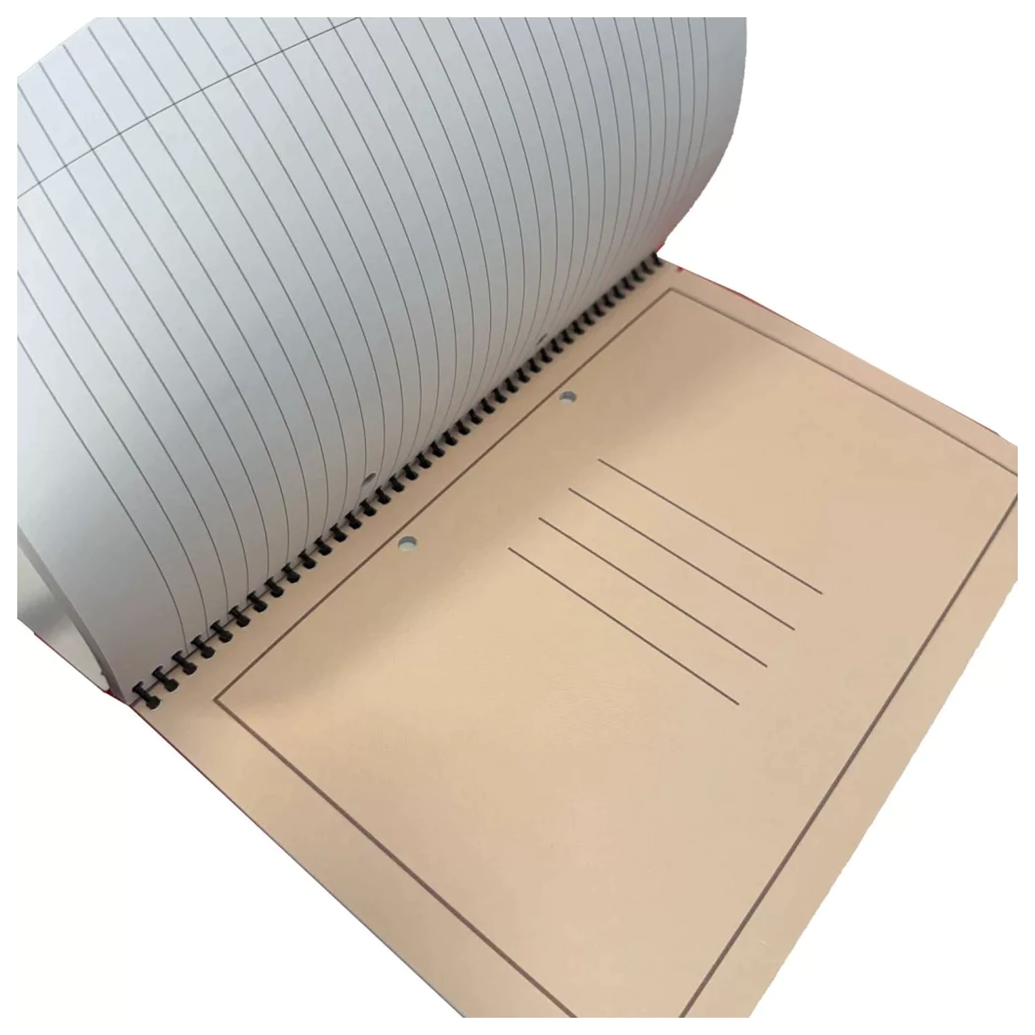 Capybara Spa B/5 Lined Spiral Notebook, 70 Sheets product photo