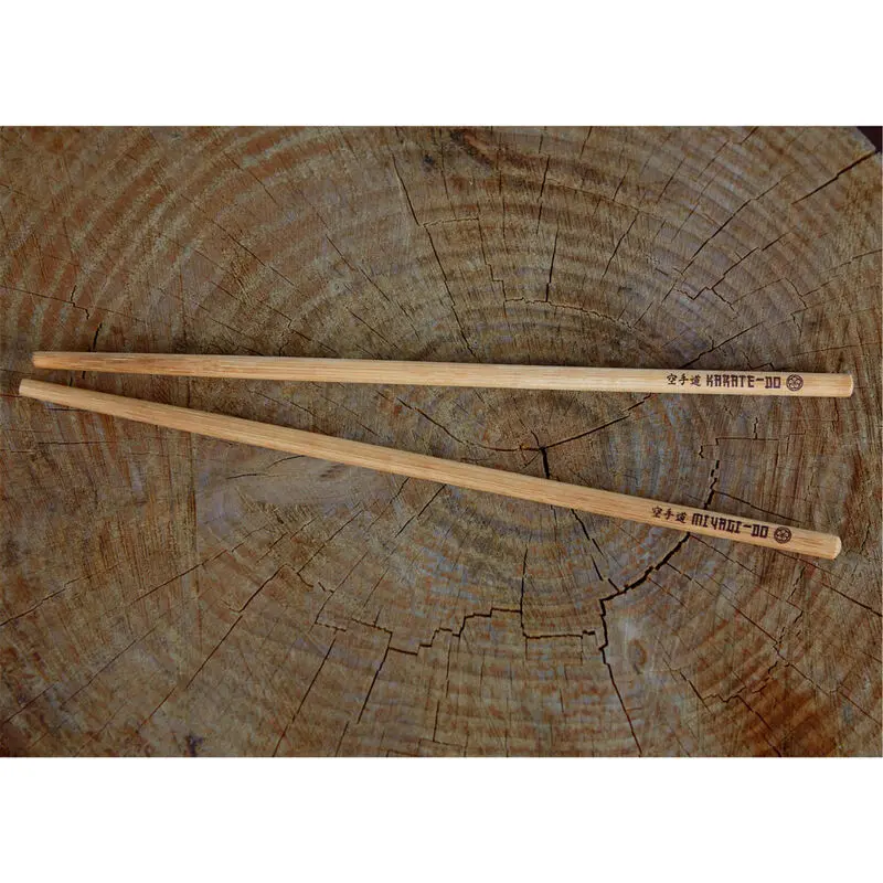 Karate Kid Miyagi School kit product photo