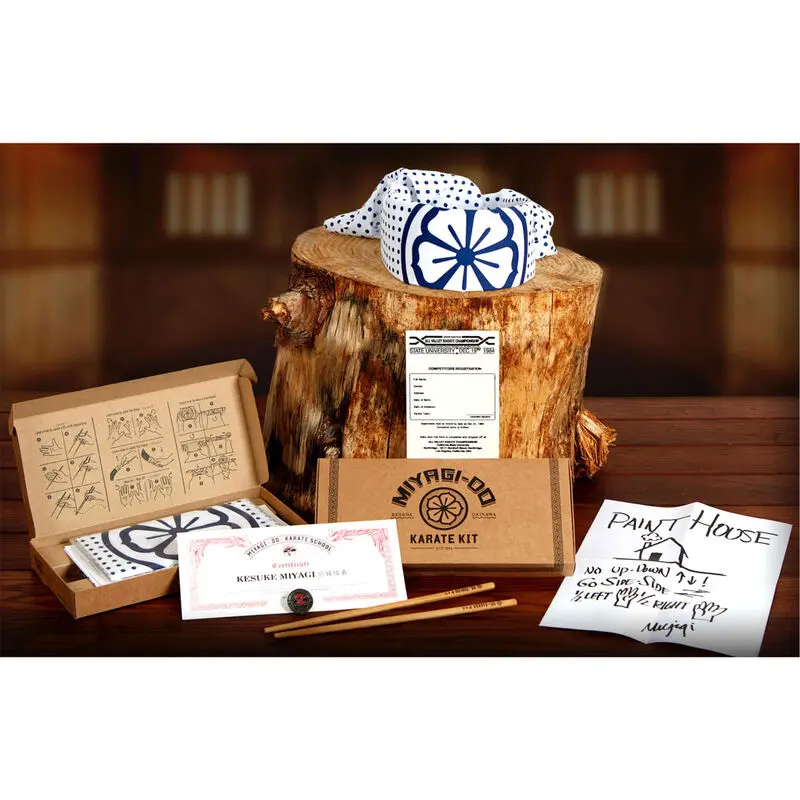 Karate Kid Miyagi School kit product photo