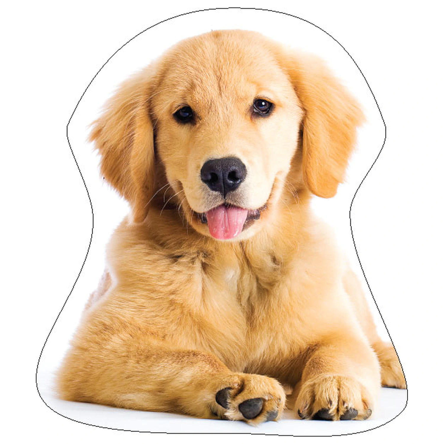 Golden Retriever Dog Shaped Pillow, Decorative Pillow product photo