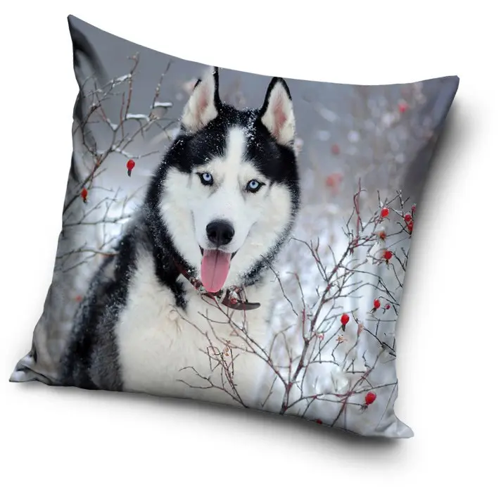 Dog themed pillow, decorative cushion 40*40 cm product photo