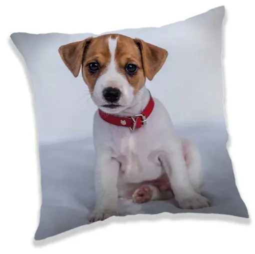Dog themed cushion, decorative pillow 40x40 cm product photo