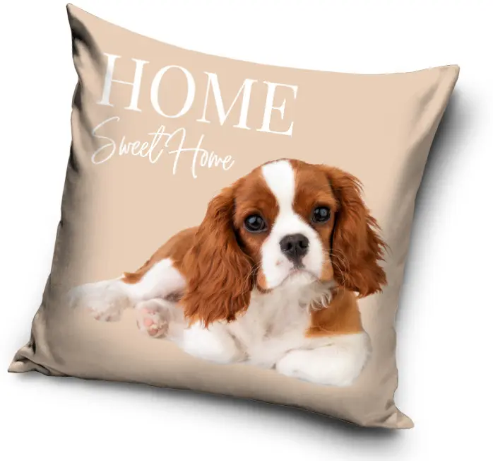 Dog Print Pillowcase 40*40 cm product photo