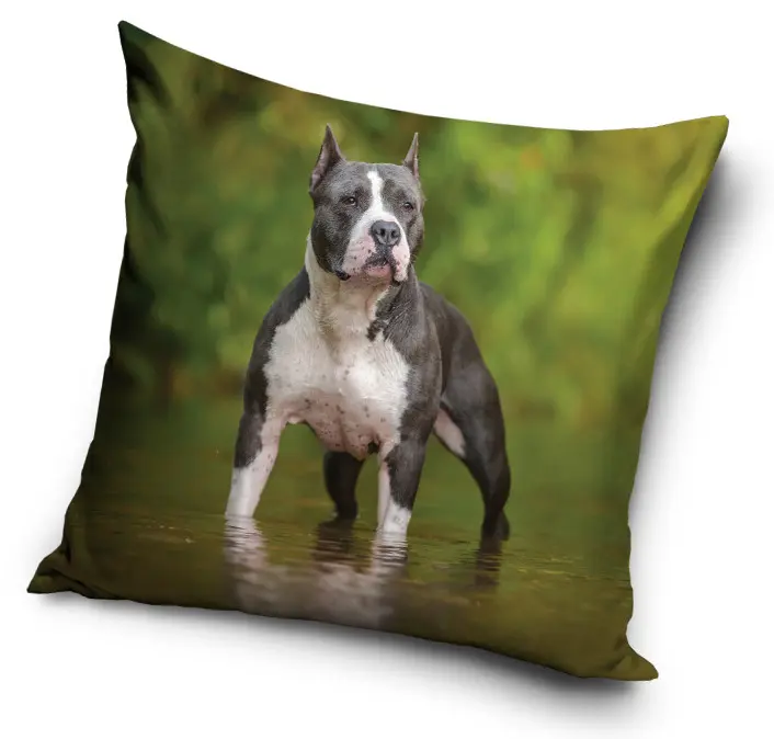Dog Themed Pillowcase 40x40 cm product photo