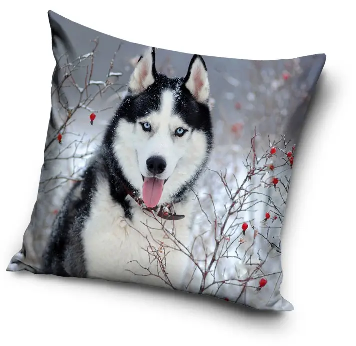 Dog-themed Pillowcase 40*40 cm product photo