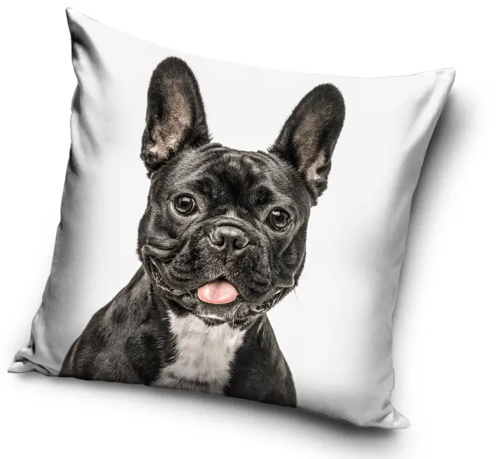 Dog themed cushion cover 40*40 cm product photo