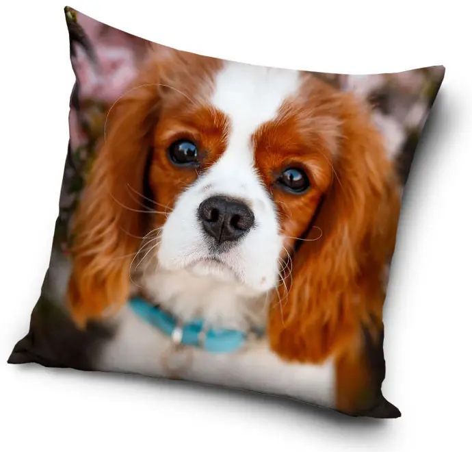 Dog Themed Pillowcase 40x40 cm product photo