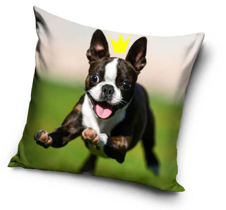 Dog Pattern Pillowcase 40*40 cm product photo